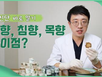 사향 공진단과 침향, 목향의 차이점이 뭘까?