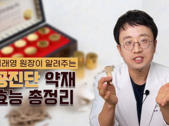 공진단 약재별 효능은 무엇?