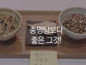 총명탕 보다 총명 공진단이 효과적인 이유?