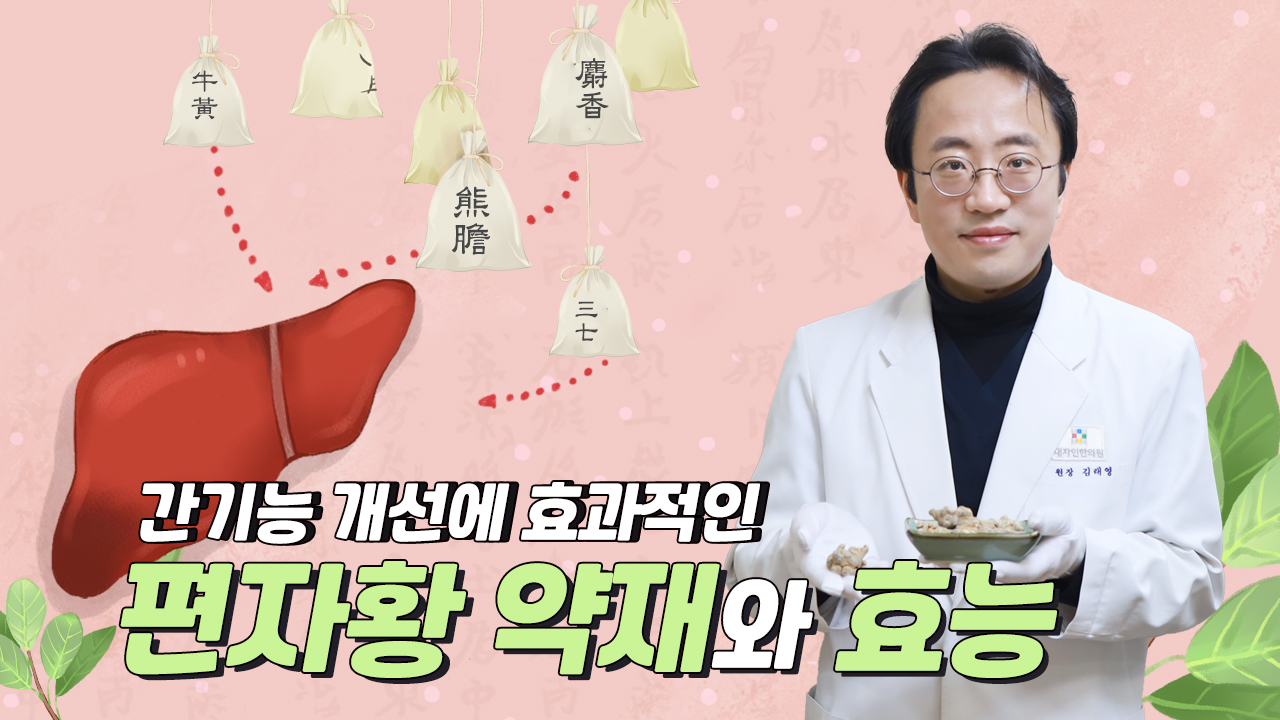 간기능 개선에 명약, 편자황의 효능과 약재에 대해 알려드립니다